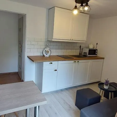 Apartament Przy Lesie Karpacz Exterior photo