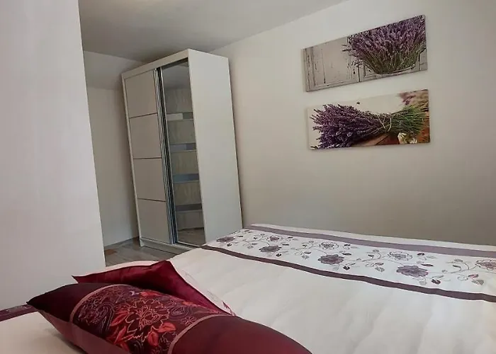 Apartament Przy Lesie