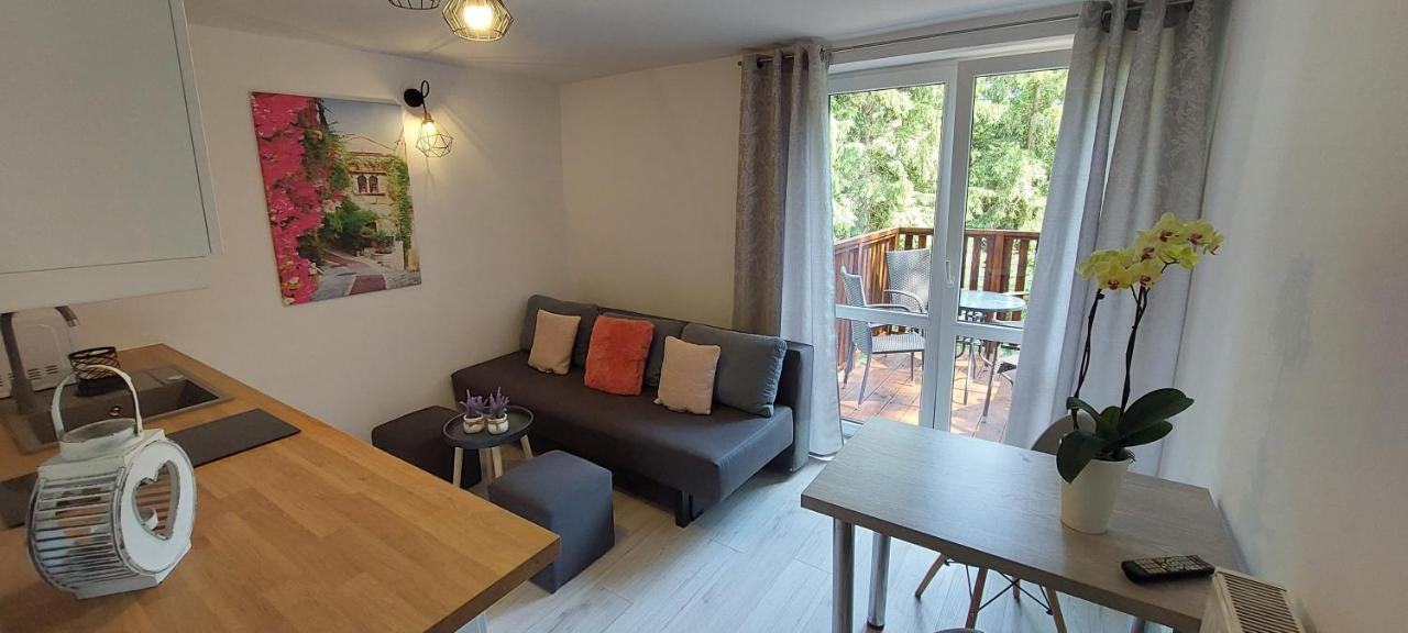 Apartment Przy Lesie
